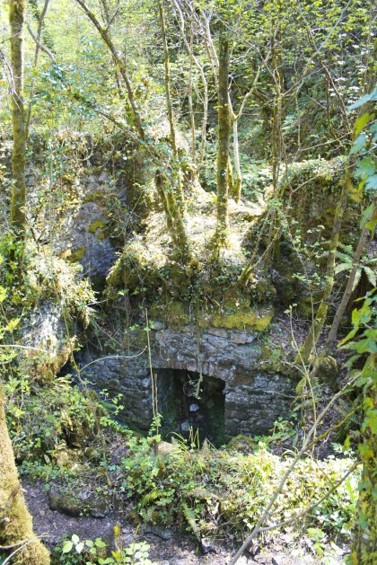 Mells ruins 1